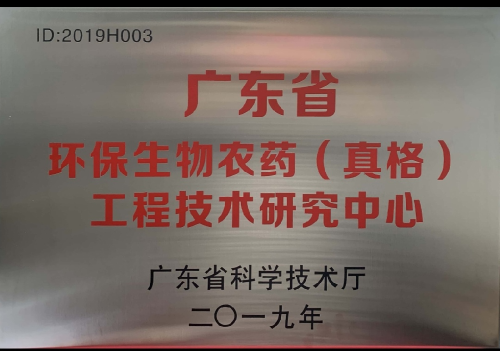 金榜提名，載譽歸來