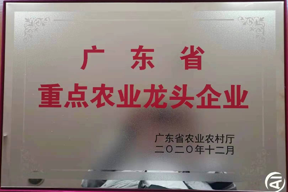 更上一層樓！追求無止境