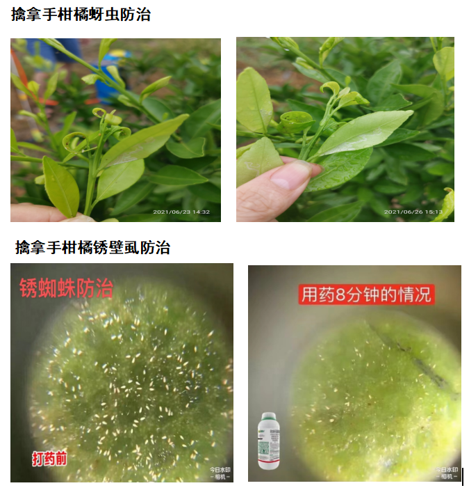 針對這個可控難治的病，我們有高招！