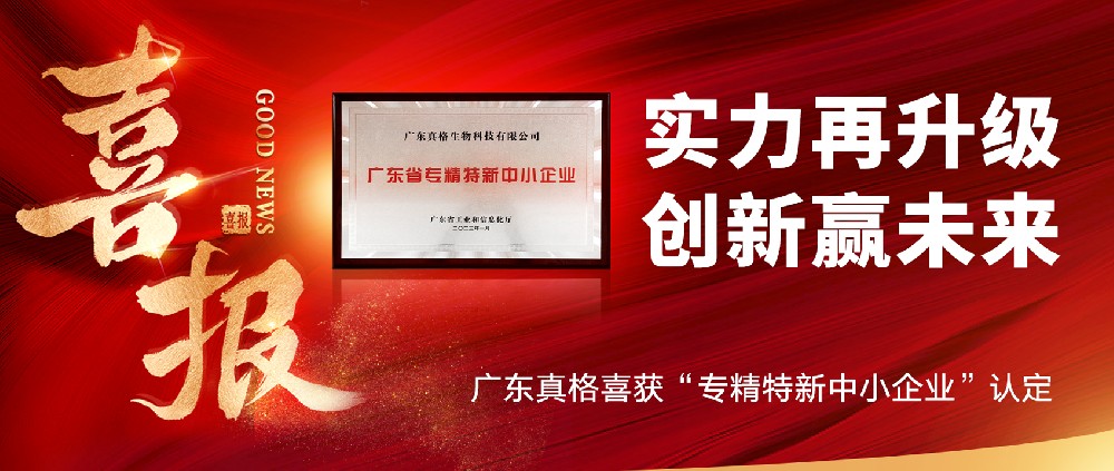 實力再升級，創(chuàng)新贏未來！ ——廣東真格喜獲“專精特新中小企業(yè)”認定